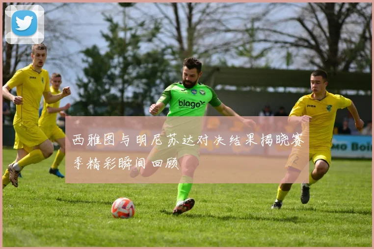 西雅图与明尼苏达对决结果揭晓赛季精彩瞬间回顾