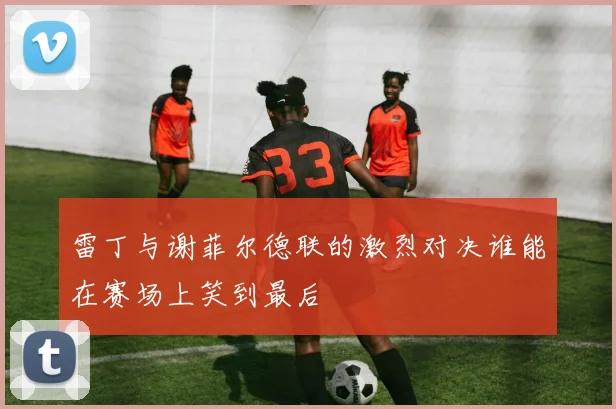 雷丁与谢菲尔德联的激烈对决谁能在赛场上笑到最后
