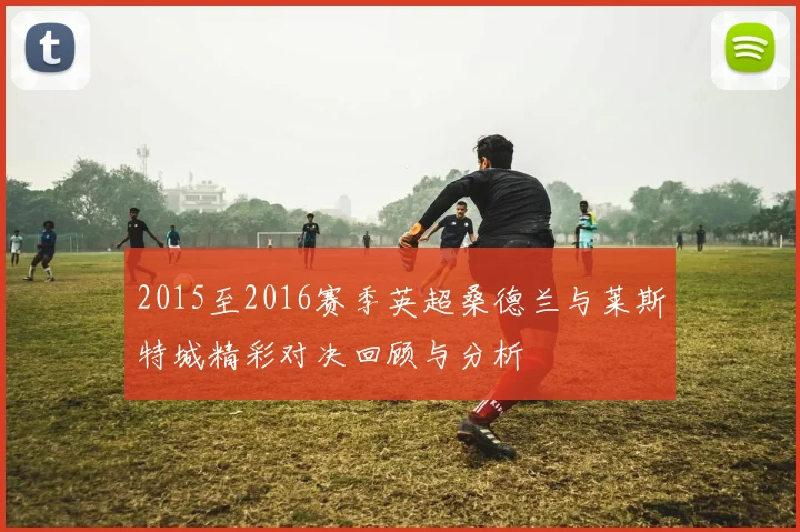 2015至2016赛季英超桑德兰与莱斯特城精彩对决回顾与分析